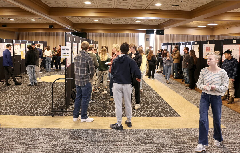 Students show projects.
