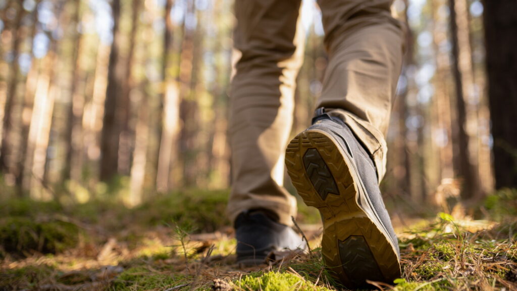 What the outdoors can teach officers about stress, resiliency and awareness What the outdoors can teach officers about stress, resiliency and awareness