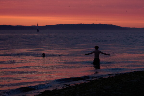 People wade into the waters of Puget Sound at Golden Gardens Park, Wednesday, July 15, 2026, in Seattle. (AP Photo/Lindsey Wasson)