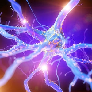 Imaging Study Shows Widespread Brain Connection Loss in Schizophrenia Imaging Study Shows Widespread Brain Connection Loss in Schizophrenia