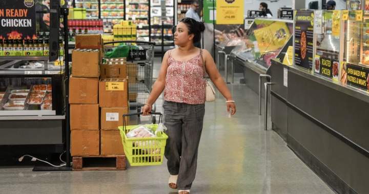 Inflation cooled to 2.8% in June as gas prices fell, says StatCan – National Inflation cooled to 2.8% in June as gas prices fell, says StatCan - National