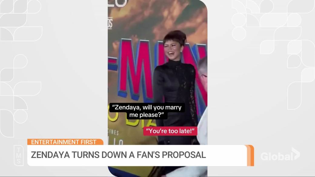 Click to play video: 'Zendaya turns down fan’s proposal at “Spider-Man: Brand New Day” red carpet'