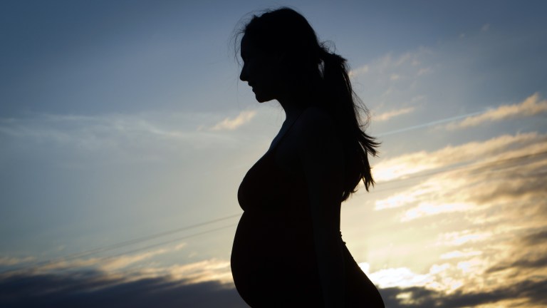 Researchers found the typical pregnant woman is exposed to 45 different chemicals found in everyday products.