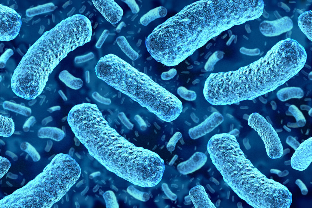 Cyclospora Boosts Fears That Worse Foodborne Outbreaks Are Ahead