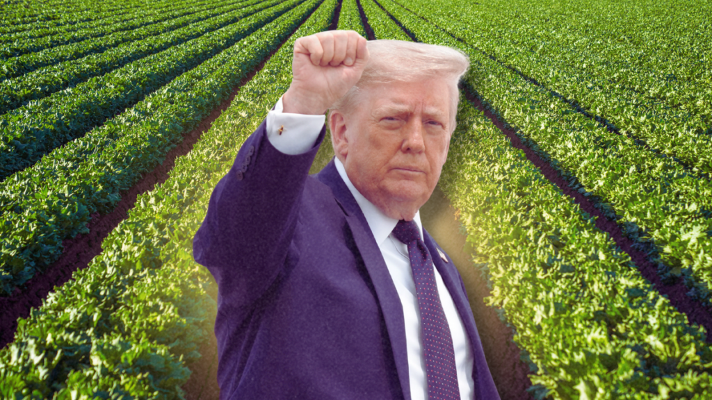 Repeat Food Contaminator Gave $2.2 Million to GOP. Now Thousands Are Sick Repeat Food Contaminator Gave $2.2 Million to GOP. Now Thousands Are Sick