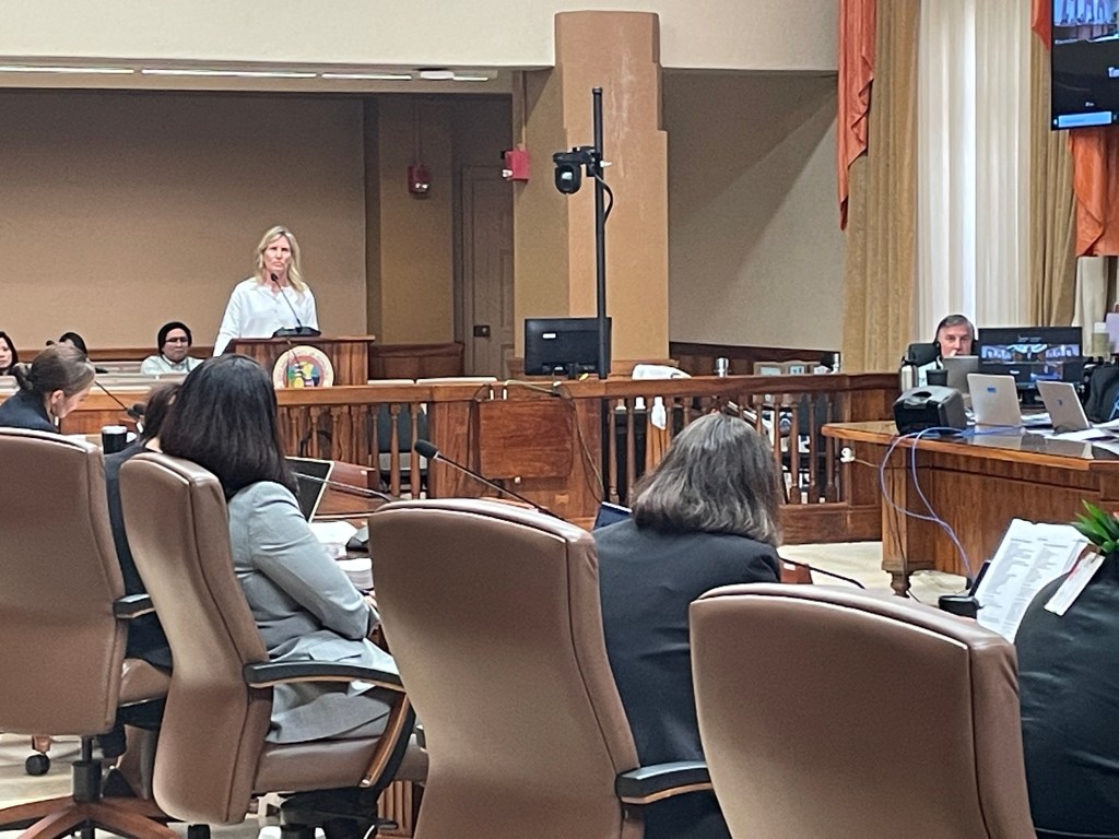 Executive Director of the Office of Economic Revitalization Amy Asselbaye answering questions from council member Esther Puakela Kiaʻāina.