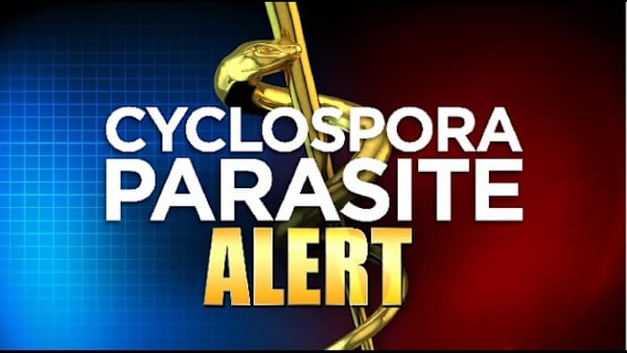 What to know about the Cyclospora parasite spreading across the US What to know about the Cyclospora parasite spreading across the US