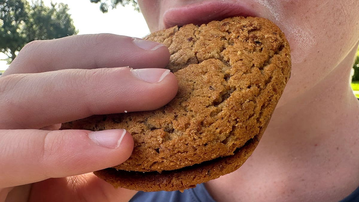 A person takes a bite of an Oatmeal Creme Pie.