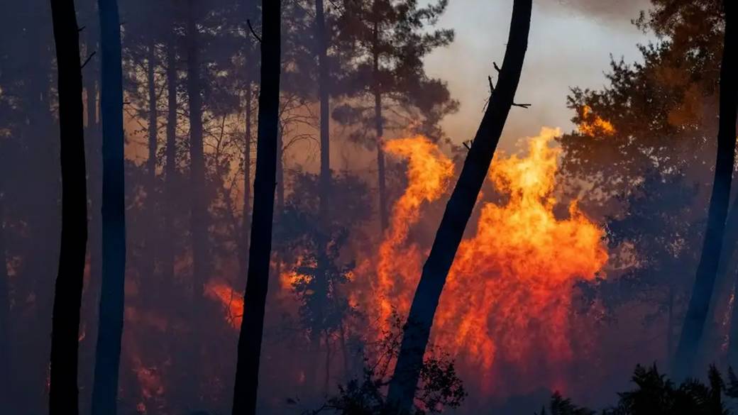 Click to play video: '‘Ecological disaster’: What the wildfires in Spain and France indicate for Europe’s future'