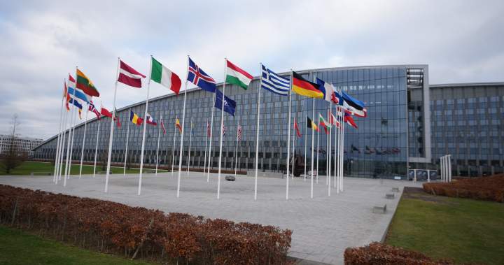 Canadian intern at NATO military HQ arrested in Belgium on spying charge – National Canadian intern at NATO military HQ arrested in Belgium on spying charge - National