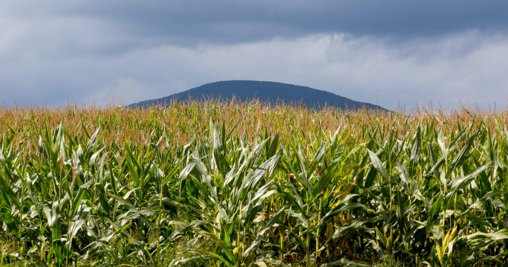 Farmers Applaud Progress to Help Struggling Farm Economy Farmers Applaud Progress to Help Struggling Farm Economy