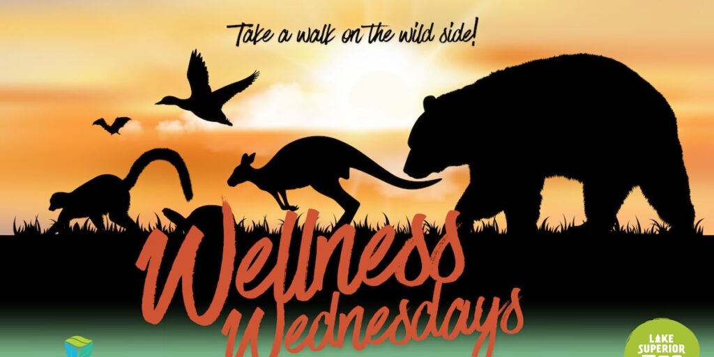 Lake Superior Zoo opens early for free “Wellness Wednesdays” Lake Superior Zoo opens early for free “Wellness Wednesdays”
