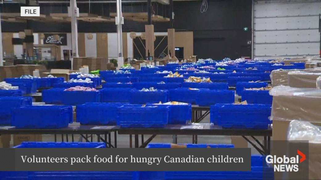 Click to play video: 'Food Banks Canada addresses increased food insecurity'