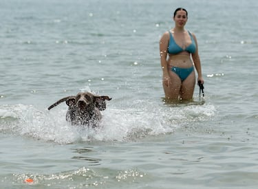 Dr. Vázquez, nutrition expert: “Swimming in the ocean makes your body burn far more energy than you think”