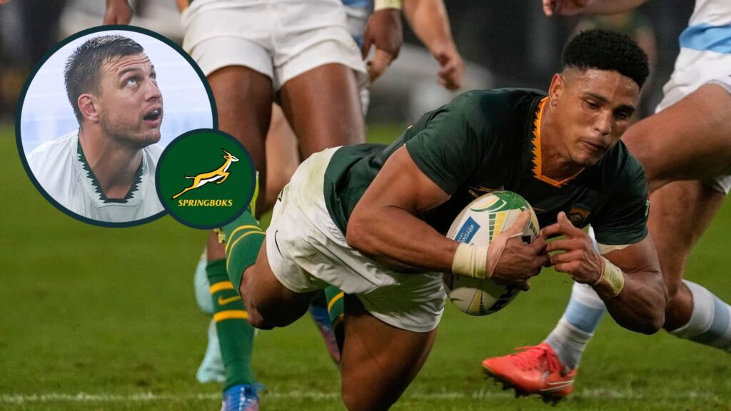 Rassie Erasmus announces Sacha Feinberg-Mngomezulu fit for All Blacks series as Argentina plans revealed Rassie Erasmus announces Sacha Feinberg-Mngomezulu fit for All Blacks series as Argentina plans revealed