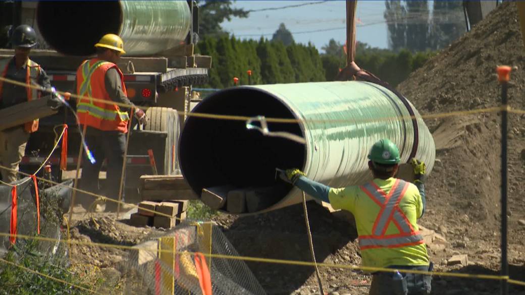 Click to play video: 'New poll finds majority of British Columbians support oil pipeline from Alberta to BC'