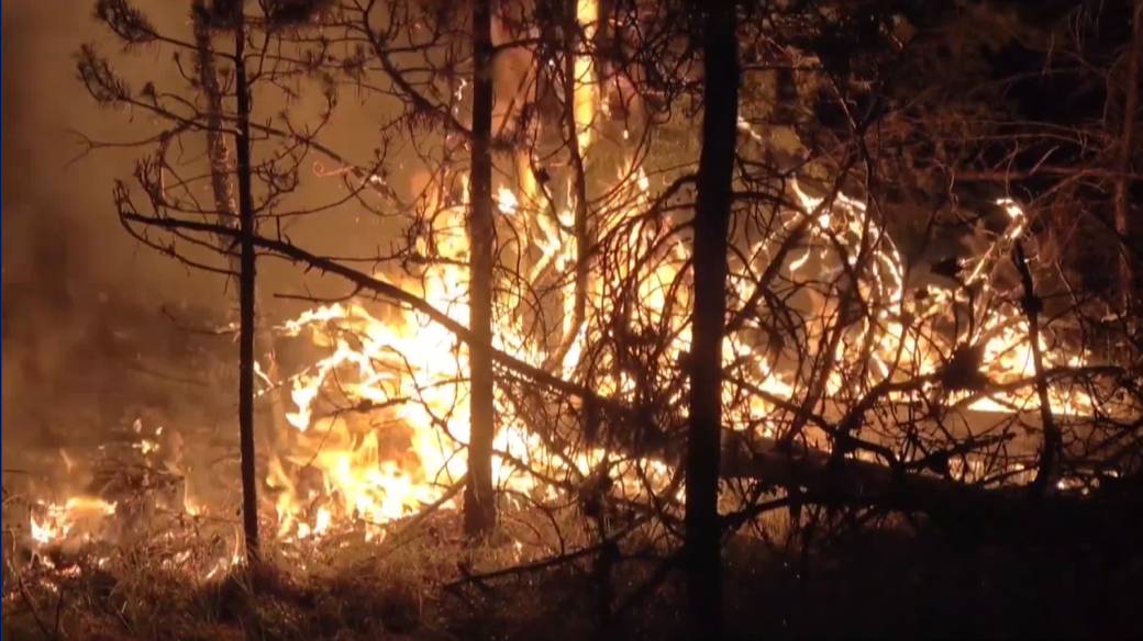 Click to play video: 'BC’s wildfire fight'