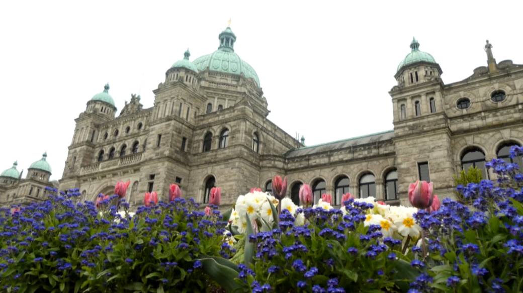 Click to play video: 'Victoria, Saanich move forward with non-binding amalgamation question'
