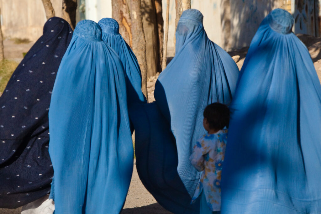 Rights group warns of increasing food insecurity in Afghanistan Rights group warns of increasing food insecurity in Afghanistan