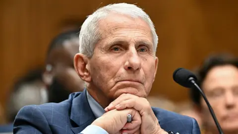 Getty Images Anthony Fauci at Wednesday's hearing