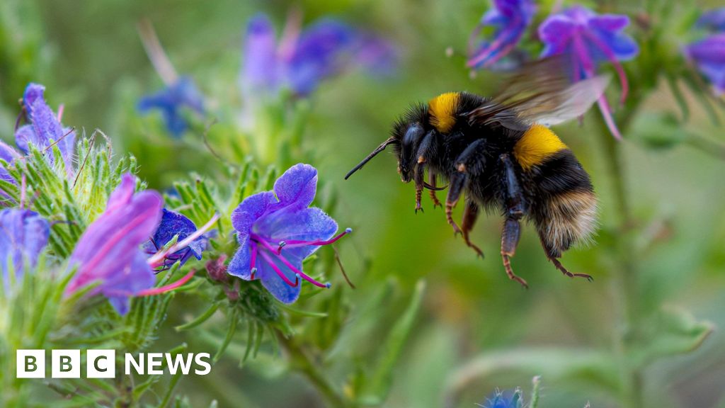 Pop-up nature trail in Chertsey aims to boost active travel Pop-up nature trail in Chertsey aims to boost active travel
