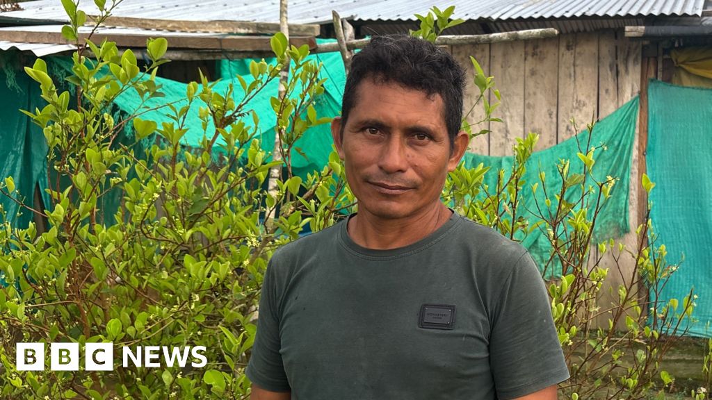 This farmer wanted to quit the cocaine industry This farmer wanted to quit the cocaine industry