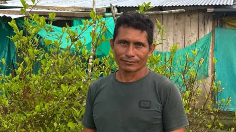 BBC Coca farmer Perea standing among his plants. Behind him are green sheets hanging up in front of a building.