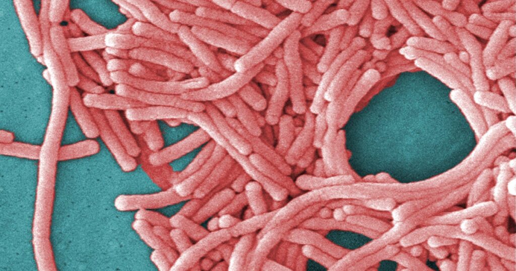 31 sickened in Upper East Side Legionnaires’ cluster discharged from hospital, health officials say 31 sickened in Upper East Side Legionnaires' cluster discharged from hospital, health officials say