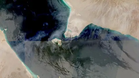 Reuters The Bab al-Mandab Strait in an aerial image.