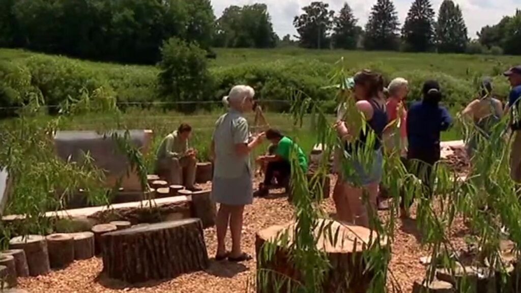 New "sensory garden" aims to teach kids where fresh food comes from