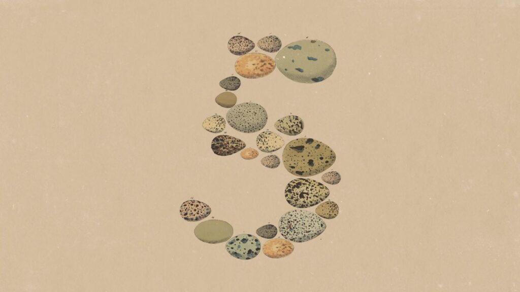 Anthropic Releases Opus 5 With Capabilities Close to Fable 5 Anthropic Releases Opus 5 With Capabilities Close to Fable 5