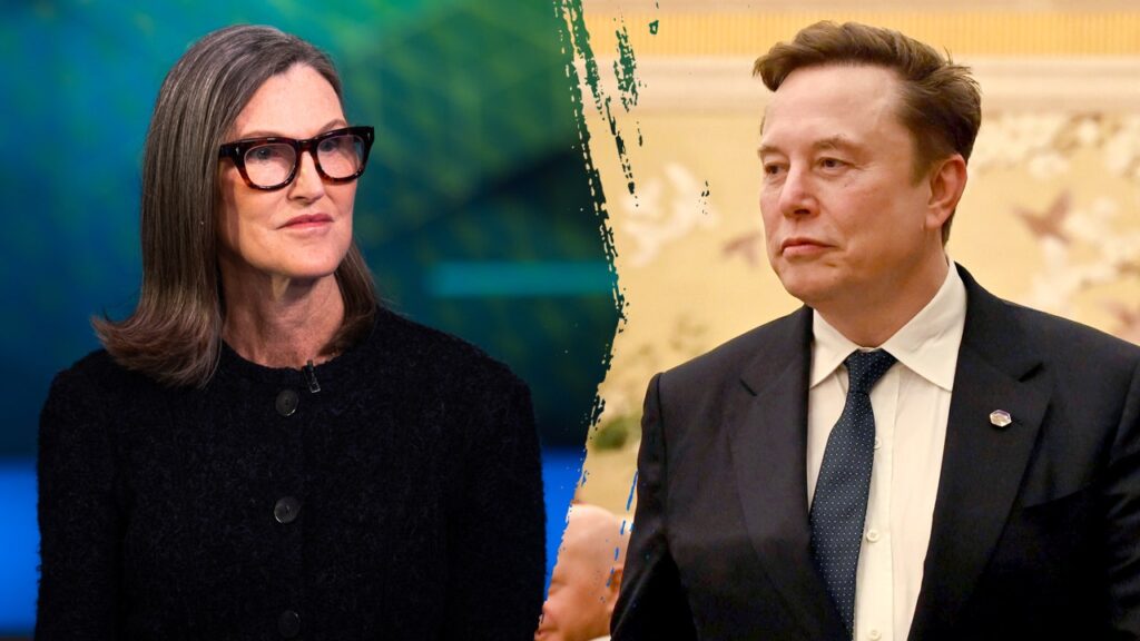 Cathie Wood says battered SpaceX could become 'most important company in global history'