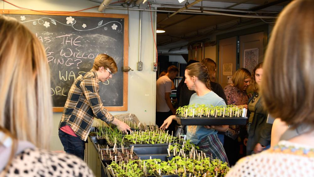 Student Farm and Food Systems to host annual Summer Plant Sale, July 23-24 Student Farm and Food Systems to host annual Summer Plant Sale, July 23-24