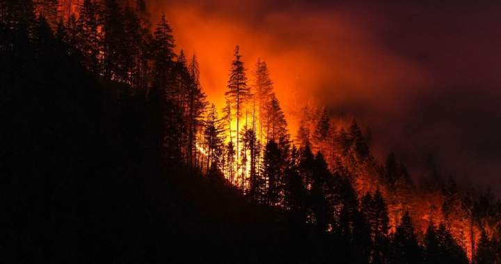 After experiencing 2016 wildfire, Fort McMurray survivor addresses evacuation trauma After experiencing 2016 wildfire, Fort McMurray survivor addresses evacuation trauma