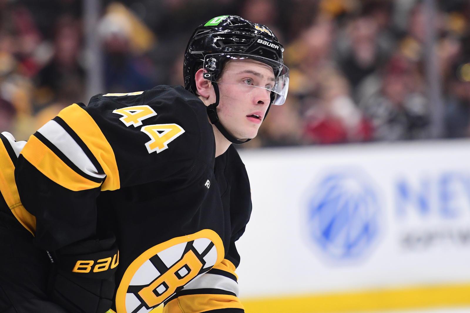 The Boston Bruins appear to be a little weak in terms of their depth of prospects on the back end. Tony Ferrari breaks down the Bruins' prospect pool in his NHL prospect pool overview series.