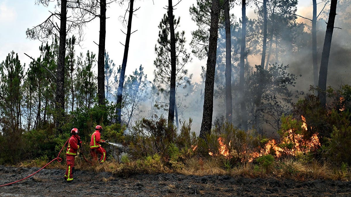 Firefighters battle a wildfire near Marcheprime, outside Bordeaux, France.