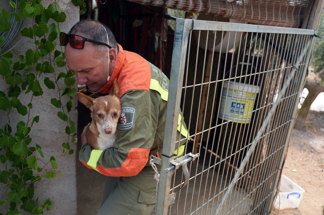 A forest ranger rescues a dog from a home near San Martín de Valdeiglesias, Spain.