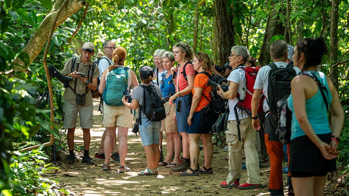 A guide leads tourists through jungle vegetation in Cahuita National Park.