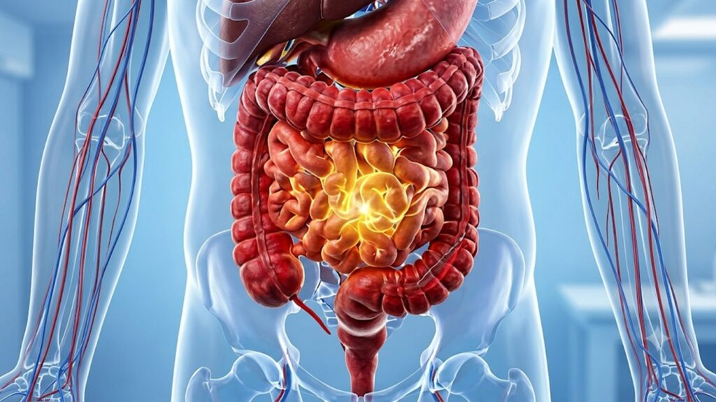 How the gut microbiome changes after 45 and why it matters for your health How the gut microbiome changes after 45 and why it matters for your health