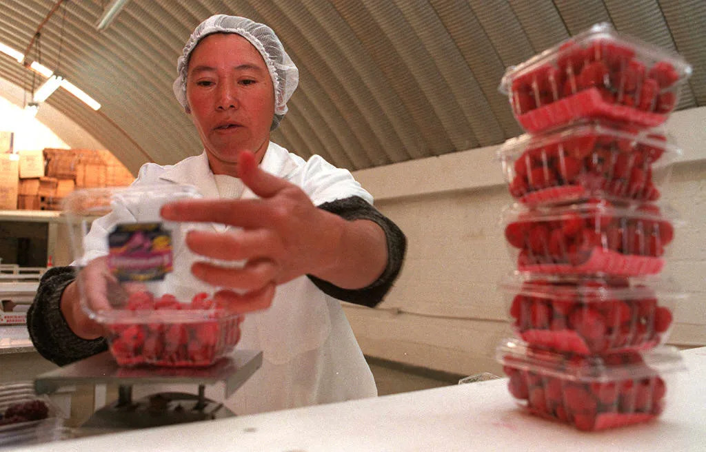 Why we don’t know what food is spreading the parasite sickening thousands Why we don’t know what food is spreading the parasite sickening thousands