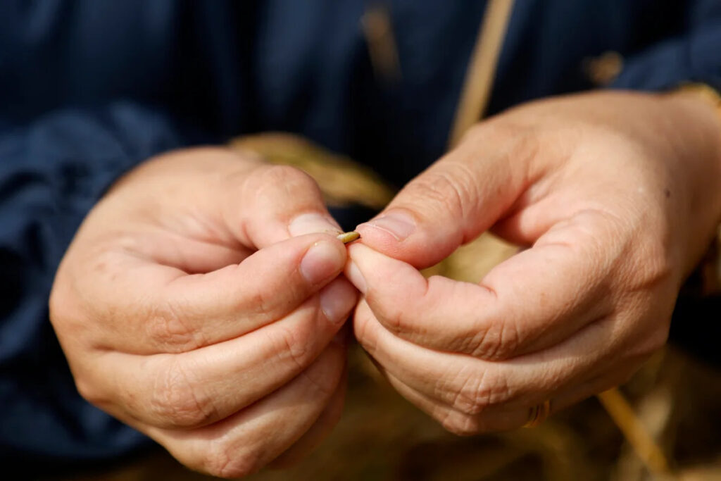 Wall Street’s next AI trade is smaller than a grain of rice: One Big Idea Wall Street's next AI trade is smaller than a grain of rice: One Big Idea