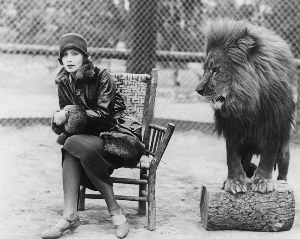 Greta Garbo in 1920s attire sits on a chair beside a lion atop a log in a fenced area. She wears a cloche hat, coat, and holds a fur muff