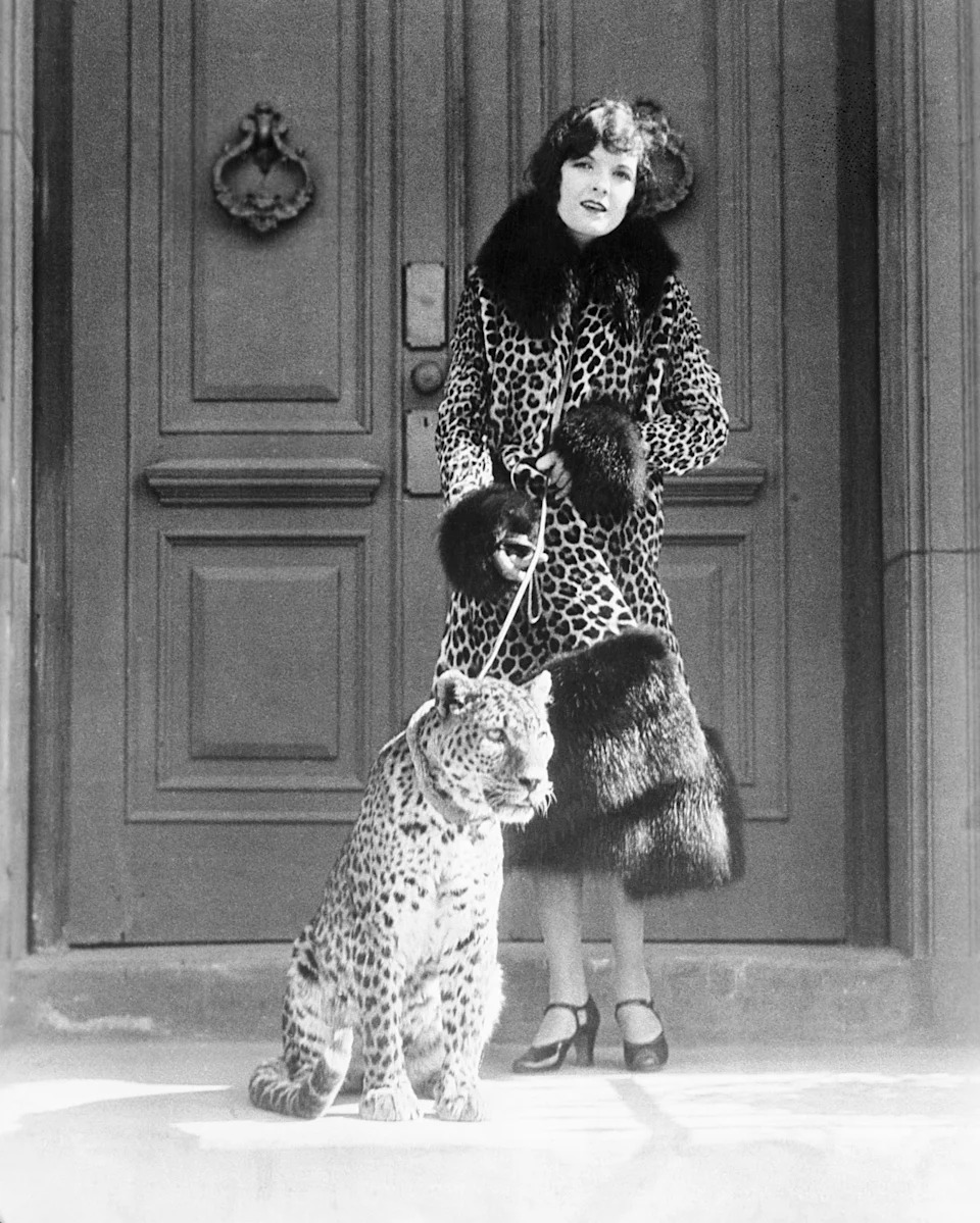 Marian Nixon in a leopard-print coat stands in front of a door, holding a leash attached to a seated leopard