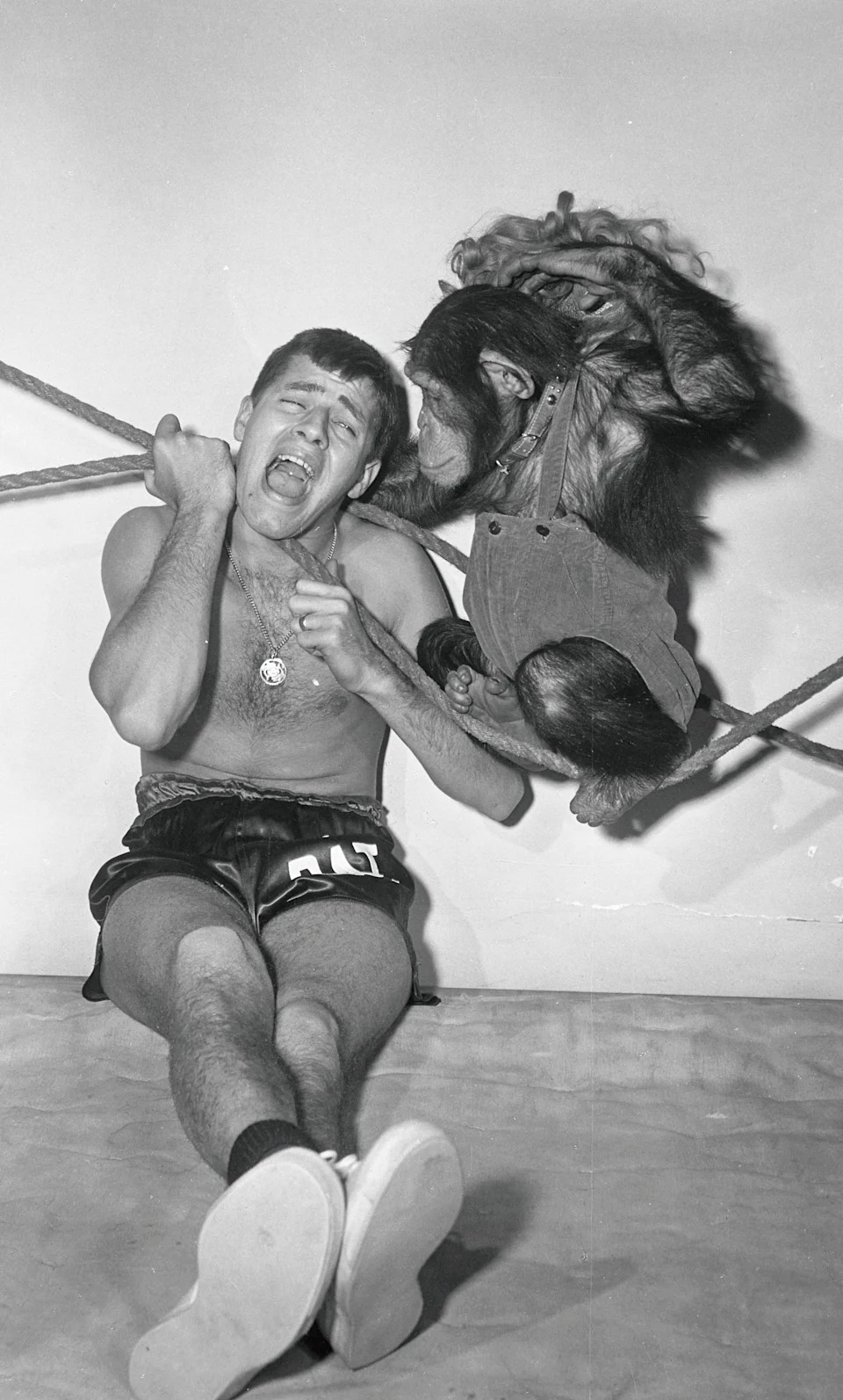 Jerry Lewis in boxing shorts playfully interacts with a chimpanzee on ropes. The chimp is wearing a shirt and appears to be engaging with him
