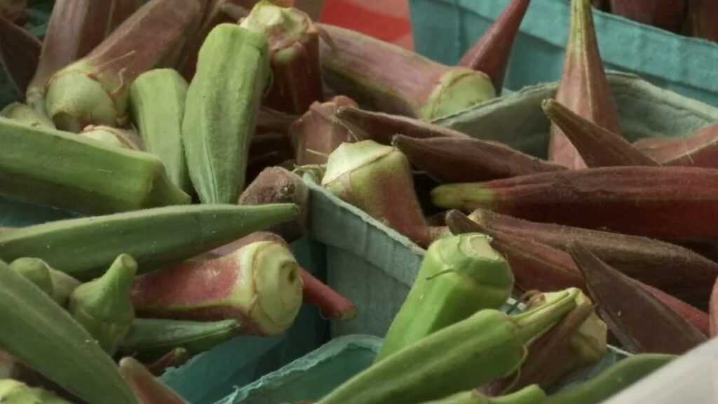 NC farmers say food safety remains top priority amid parasite outbreak NC farmers say food safety remains top priority amid parasite outbreak