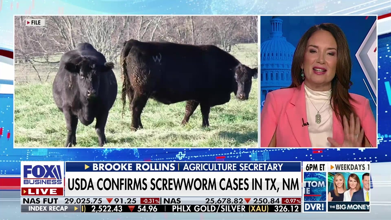 Agriculture Secretary Brooke Rollins discusses the screwworm outbreak in Texas and New Mexico.