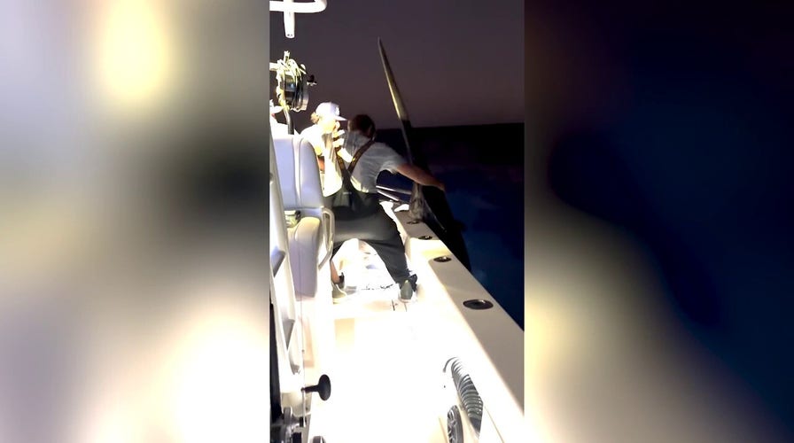 Massive swordfish weighing nearly 500 pounds caught during Florida Keys trip