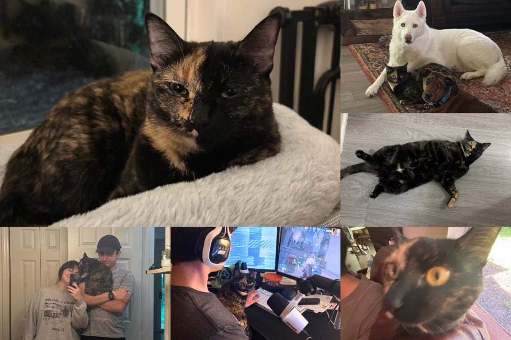 VMCVM Pet Spotlight: Alba VMCVM Pet Spotlight: Alba