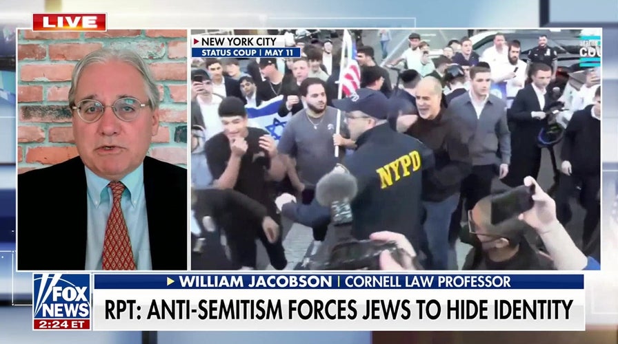 'Red-green alliance' united by hatred of Jewish Americans, Israel: Cornell Law professor