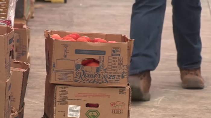 San Antonio Food Bank sees growing demand; New study shows 1 in 5 people food insecure in region San Antonio Food Bank sees growing demand; New study shows 1 in 5 people food insecure in region